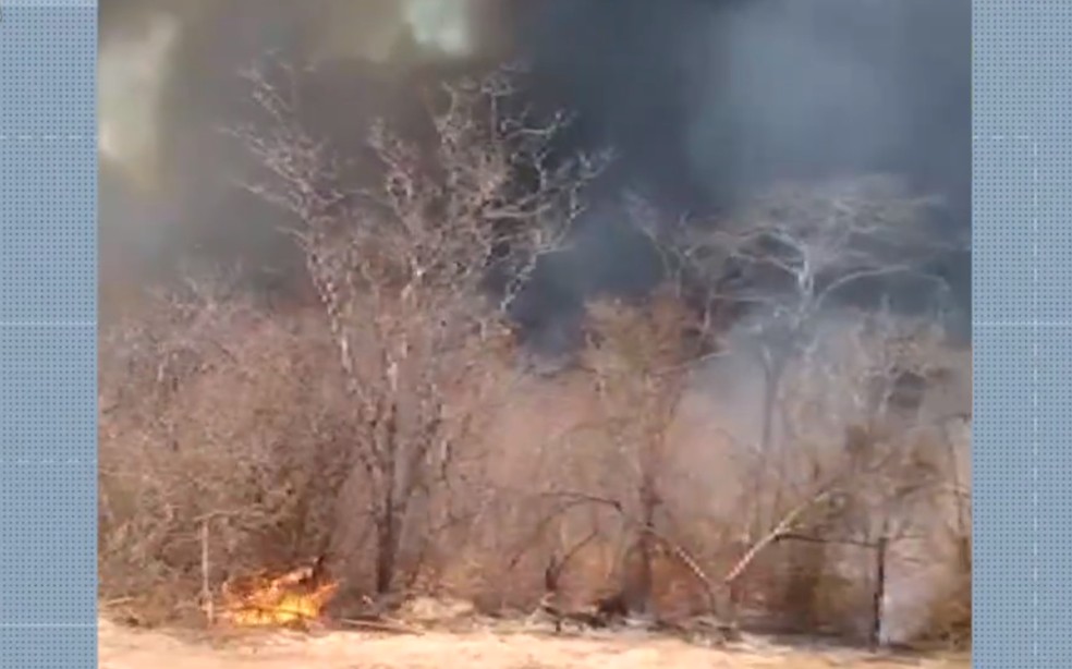 Fogo atinge cidade de Pilão Arcado, no norte da Bahia — Foto: Reprodução/TV São Francisco